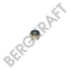 RENAULT 5003034275 Spring Clamp Nut